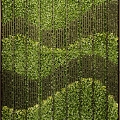 Green plant background wall plant wall 3d model