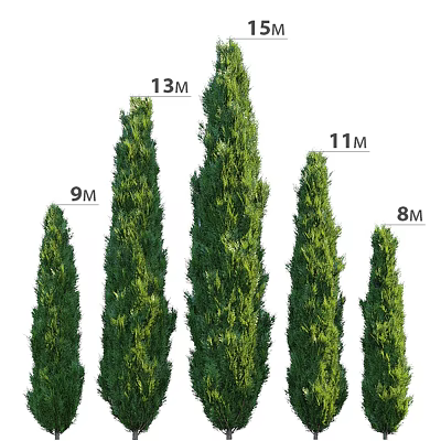 Decorative Ornament Set With Various Heights 13M 11M 9M 8M Green Plants 3d model