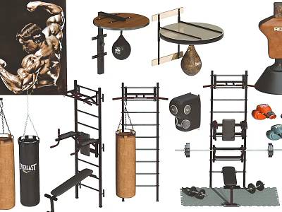Essential Sports Equipment With Punching Bags Pull Up Bars Dumbbells Barbells Ab Benches Exercise Balls 3d model