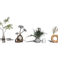 Decorative Vases With Green Plants And White Flowers For Interior Decor