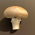 Fresh Brown Mushroom with Smooth Cap and White Stem Isolated on Neutral Background