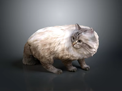 Fluffy Light Brown And White Cat Squatting On Dark Background With Soft Fur 3d model
