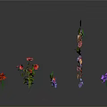 Colorful Decorative Plants With Various Flowers Green Leaves And Vibrant Shapes