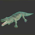 Realistic Crocodile 3D Model With Open Mouth Sharp Teeth And Striped Skin 3d model