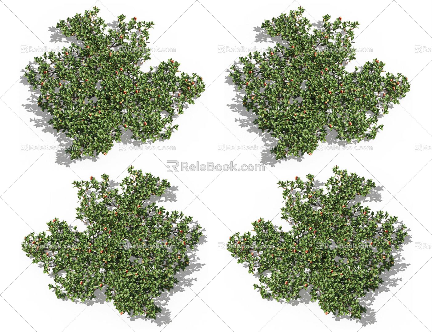 Modern Vine Climbing Vine Plant 3d model