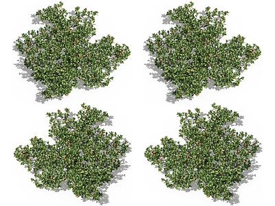 Modern Vine Climbing Vine Plant 3d model