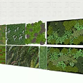 Diverse Living Plant Wall Designs With Varied Greenery For Indoor Outdoor Spaces