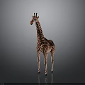 Realistic Giraffe With Long Neck And Spotted Coat Standing On Gray Background