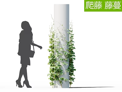 Green Vines Climbing on White Pillar with Woman Silhouette 3d model