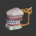 Dental Model With White Teeth Pink Gums And Gold Metal Frame On White Base