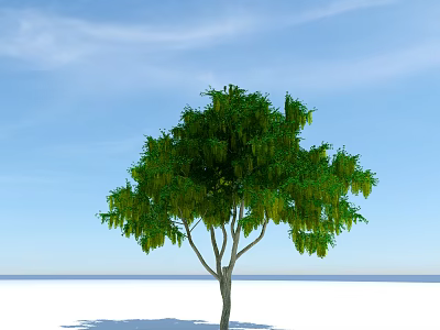 Lush Green Tree With Dense Foliage Against Blue Sky And White Ground 3d model