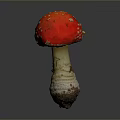 Vibrant Red Mushroom With White Spots Isolated On Grey Background Macro View