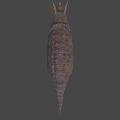 Realistic Triceratops Dinosaur Model With Textured Skin And Horned Head