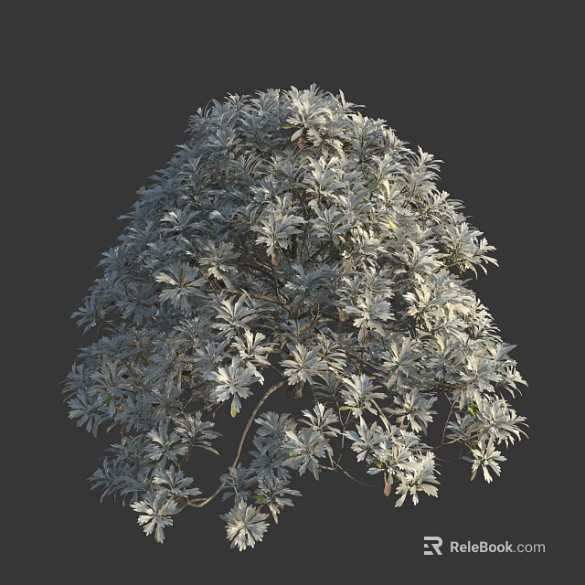 Ornamental Garden Shrub With Dense Lush Green Foliage And Decorative Branches 3d model 