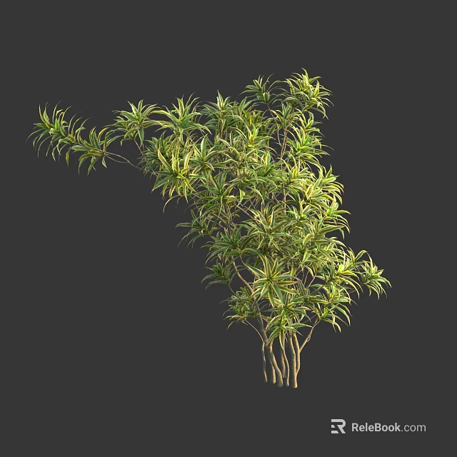 Elegant Bonsai Plant With Slender Stems Variegated Green Yellow Leaves For Indoor Decoration 3d model 