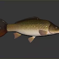 Golden Green Red Scaled Fish Figurine as Stylish Home Living Accessory