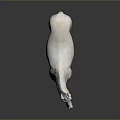 White Horse Statue In Standing Position With Realistic Coat And Hooves
