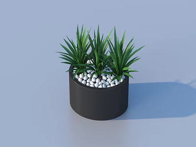 Modern Green Plants In Black Pot With White Pebbles Decoration 3d model