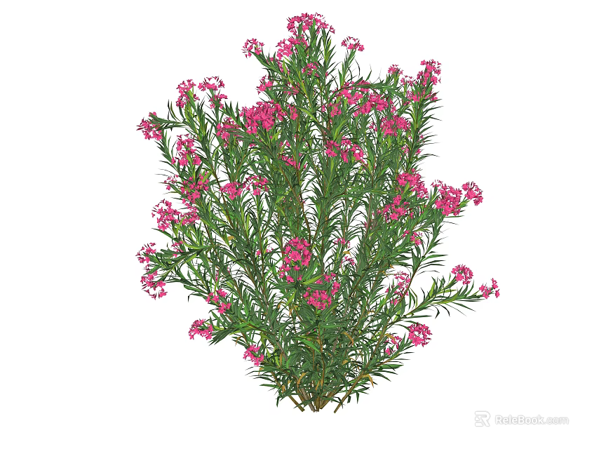 Vibrant Green Shrub With Blooming Pink Flowers And Lush Foliage 3d model 