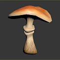 Fresh Vegetable Mushroom With Orange Pink Gradient Cap And Twisted Stem On Dark Background