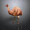 Ostrich Large Flightless Bird With Brown Feathers Standing On Gray Background 3d model
