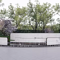 Modern Landscape Wall Surrounded By Cherry Blossom Trees And Green Grass