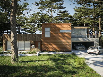 Modern Detached House With Wooden Exterior Surrounded By Trees In Lush Natural Setting And Driveway 3d model