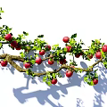 Arbor Apple Tree Red Fuji Apple Branch Garden Fruit Tree Landscape Tree 3d model