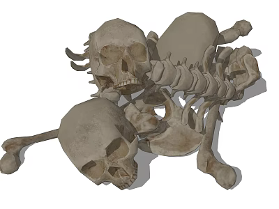 Medical Device Human Skeleton Models Including Skull Spine And Pelvis 3d model