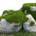 Moss Covered Stones And Wooden Details In Natural Outdoor Garden With Lush Green Grass