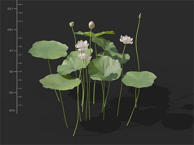 Modern Lotus 3d model Modern Lotus 3d model