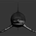 Isolated Detailed 3D Rendered Shark Model On Dark Background With Reflection