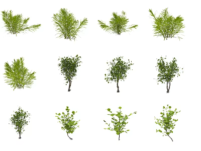 Various Green Leafy Bushes in Different Natural Shapes for Garden Use 3d model
