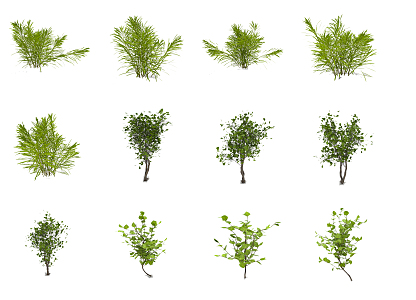 Modern shrubs 3d model