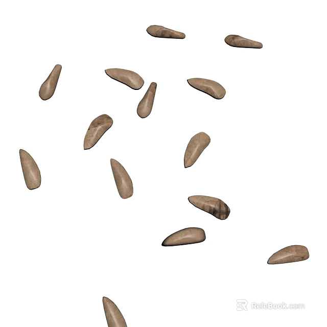 Natural Brown Plant Seeds Scattered on White Background Close Up View 3d model 