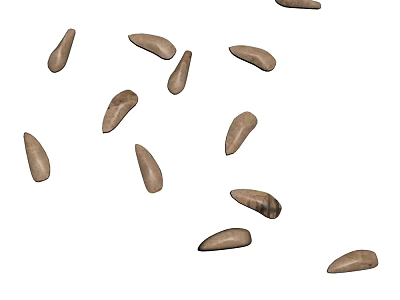Natural Brown Plant Seeds Scattered on White Background Close Up View 3d model