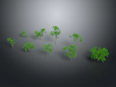 Green Plants of Various Sizes and Shapes Against Gray Gradient Background 3d model