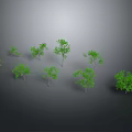 Green Plants of Various Sizes and Shapes Against Gray Gradient Background