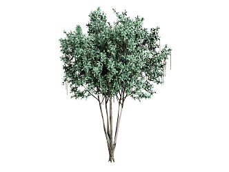 Other Plants Trees 3d model