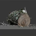 Natural Tree Stump Decor With Ivy Leaves Fallen Twigs And Wood Texture