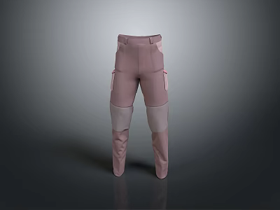 Stylish Pink Casual Pants with Multiple Pockets and Contrast Leg Panels Design 3d model