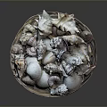 Decorative Basket Filled With Various Seashells Of Different Shapes And Sizes