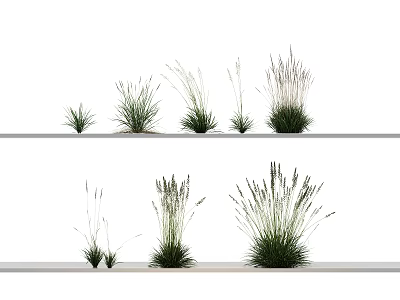 Assorted Grass Herb Plants Arranged On Two White Shelves With Various Sizes 3d model