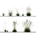 Assorted Grass Herb Plants Arranged On Two White Shelves With Various Sizes