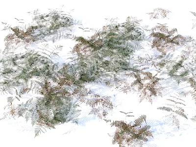 Green and Brown Ferns Growing in Natural Clusters With Lush Foliage 3d model