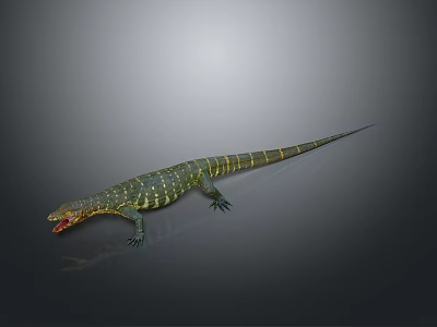 Lizard Anime Lizard Cartoon Lizard Reptile Cold Blooded Animal Reptile 3d model
