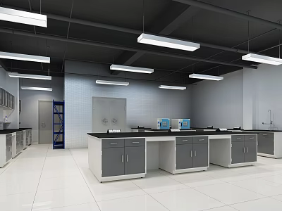 Modern Spacious Laboratory Interior With Lab Benches Storage Cabinets And Bright Lighting 3d model