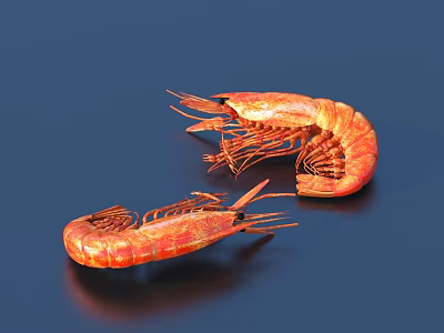 Two Cooked Red Shrimp Displayed On Dark Background With Natural Texture 3d model