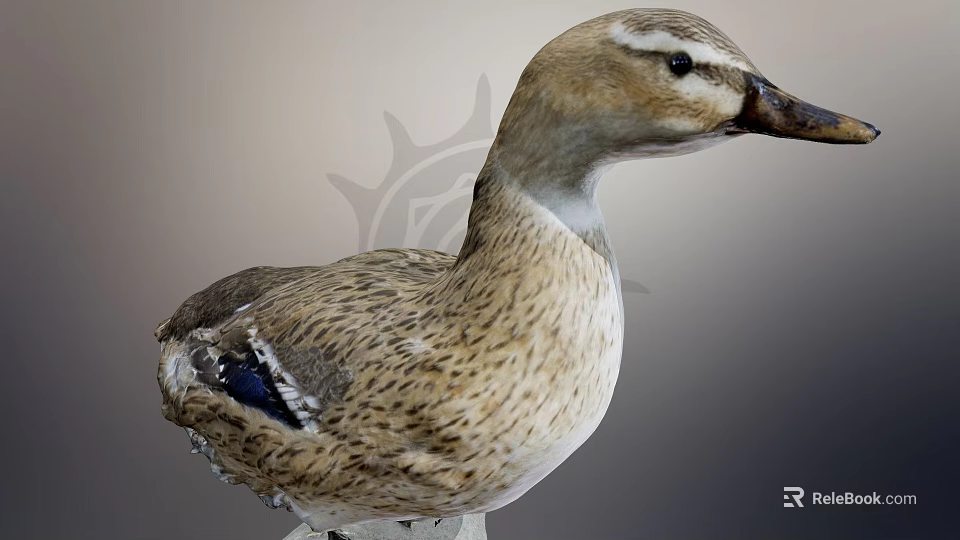 Fresh Duck Meat For Delicious Savory Cooking And Tender Recipe Preparation 3d model 