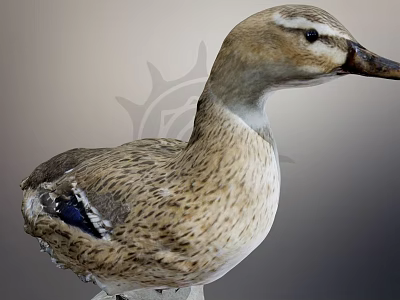 Fresh Duck Meat For Delicious Savory Cooking And Tender Recipe Preparation 3d model